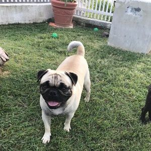 Meet your Posher, Luis